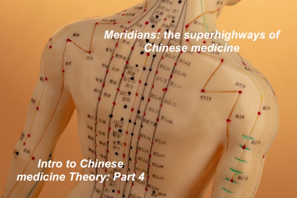 meridian in Chinese medicine