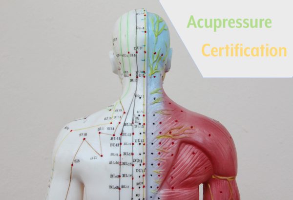 Acupressure Certification Course