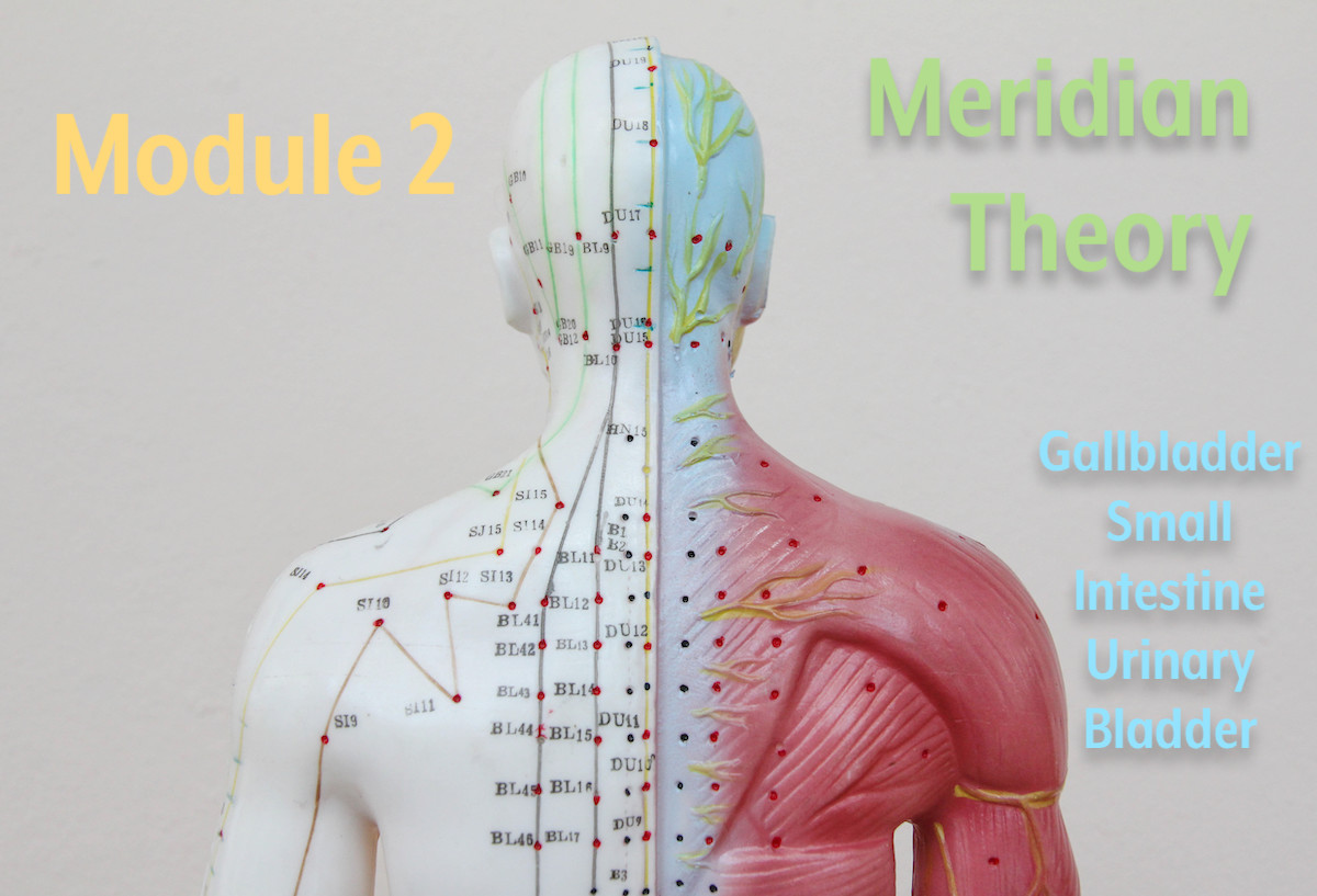 Practical Acupressure for Professionals - Module 2