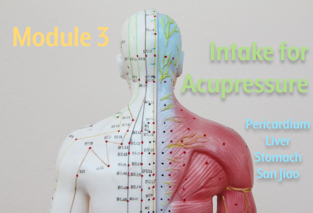 Practical Acupressure for Professionals - Module 3