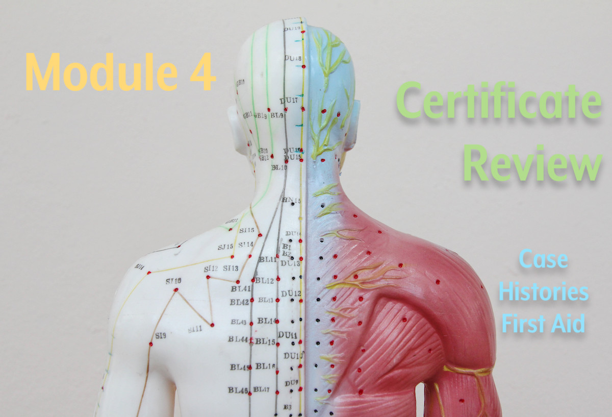Practical Acupressure for Professionals - Module 4